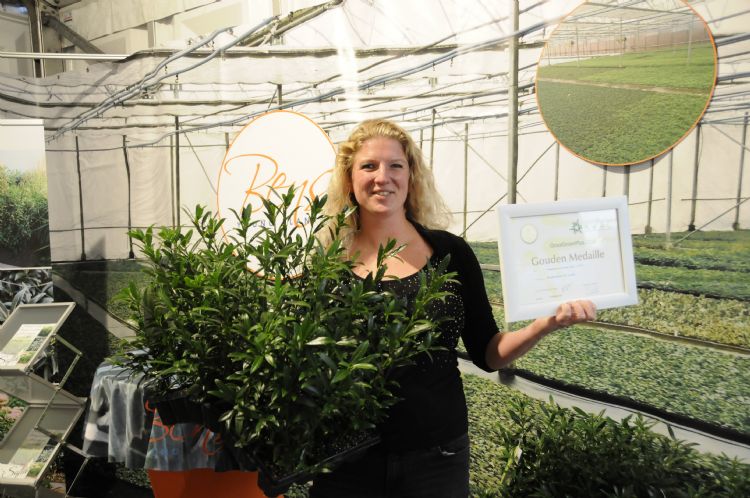 Susanne Blom met Prunus laur. 'Sofia' PBR wint een GOUDEN MEDAILLE op Groot Groenplus 2019 Susanne Blom met Prunus laur. 'Sofia' PBR wint een GOUDEN MEDAILLE op Groot Groenplus 2019
