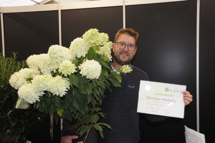 Hortensia paniculata$L Skyfall’ (‘Frenne’ PBR) van Guido Rouwette en Plantipp Hortensia paniculata$L Skyfall’ (‘Frenne’ PBR) van Guido Rouwette en Plantipp