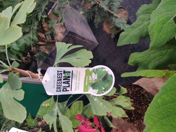 Concept #LGreenest Planet$L Jan Mouws Concept #LGreenest Planet$L Jan Mouws