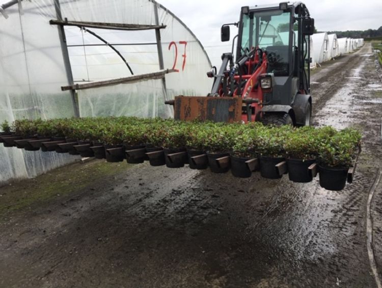 De Regt en zijn collega's maken gebruik van allerlei eigen uitvindingen, zoals de aangepaste vorken van een Weidemann. De Regt en zijn collega's maken gebruik van allerlei eigen uitvindingen, zoals de aangepaste vorken van een Weidemann.