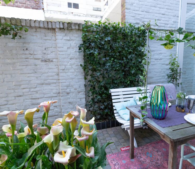 Hedge to Go in stadstuin Hedge to Go in stadstuin