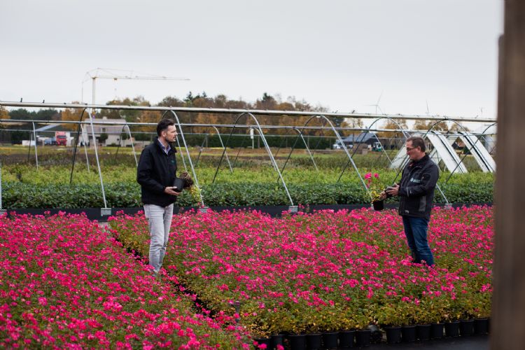 Lars Tolenaars van Jiffy (links) en Geert Mutsaers, bedrijfsleider bij Boot & Dart, werken nauw samen om tot het juiste substraat te komen. Lars Tolenaars van Jiffy (links) en Geert Mutsaers, bedrijfsleider bij Boot & Dart, werken nauw samen om tot het juiste substraat te komen.