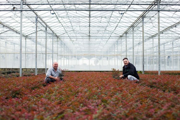 Voor kweker Ron van Opstal (links), hier samen met Lars Tolenaars van Jiffy, staat voorop dat hij een betaalbaar en kwalitatief goed mengsel krijgt dat netjes op tijd wordt geleverd. Voor kweker Ron van Opstal (links), hier samen met Lars Tolenaars van Jiffy, staat voorop dat hij een betaalbaar en kwalitatief goed mengsel krijgt dat netjes op tijd wordt geleverd.