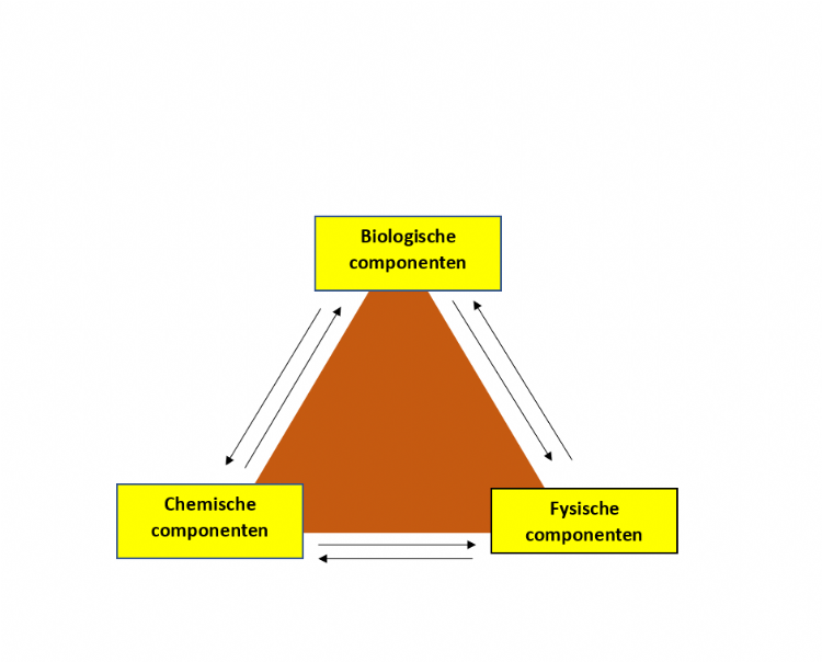 Fig. 1. Biologische, fysische en chemische componenten van de bodem Fig. 1. Biologische, fysische en chemische componenten van de bodem