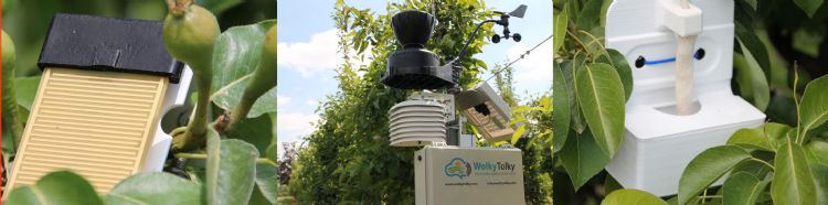 Sensoren voor onder meer bodemvocht of bladnat bieden de kweker nuttige informatie aan voor de teelt Sensoren voor onder meer bodemvocht of bladnat bieden de kweker nuttige informatie aan voor de teelt