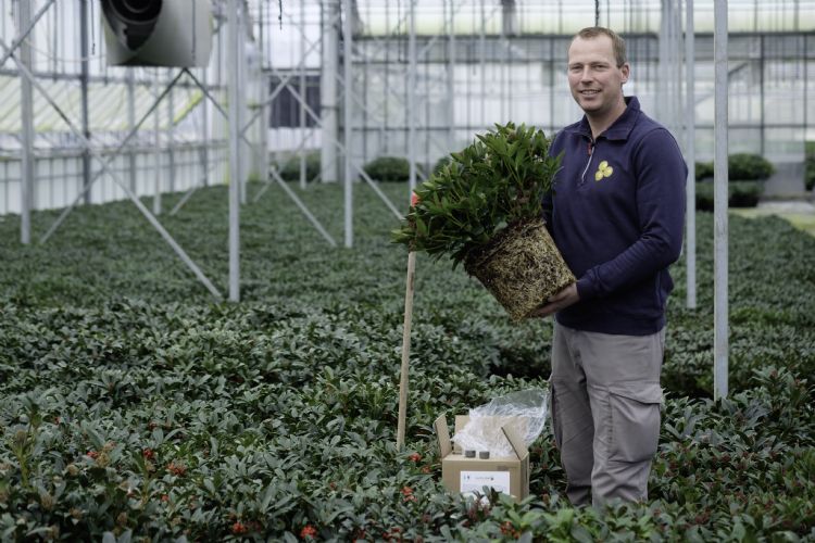 JanWillem Bakhuijzen van Kwekerij JW Bakhuijzen JanWillem Bakhuijzen van Kwekerij JW Bakhuijzen