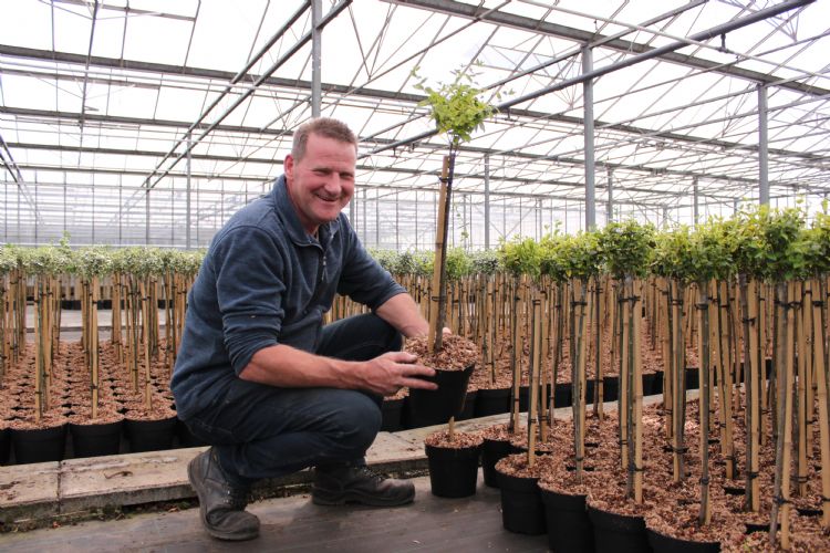 Kweker Roel Breukers is zeer te spreken over Herbaedeck HBR Kweker Roel Breukers is zeer te spreken over Herbaedeck HBR