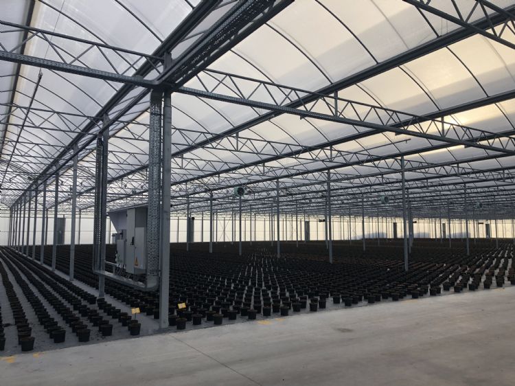 De overkapping tussen twee palen is 12 meter breed De overkapping tussen twee palen is 12 meter breed