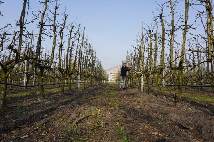 Om schurft binnen de perken te houden, zijn sanitaire maatregelen uiterst belangrijk, aldus Van den Elzen Om schurft binnen de perken te houden, zijn sanitaire maatregelen uiterst belangrijk, aldus Van den Elzen