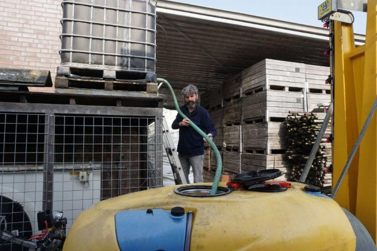 Appelbloesemkever is een geduchte plaag op het bedrijf. Van den Elzen spuit ertegen met een insecticide op basis van koolzaadolie. Appelbloesemkever is een geduchte plaag op het bedrijf. Van den Elzen spuit ertegen met een insecticide op basis van koolzaadolie.