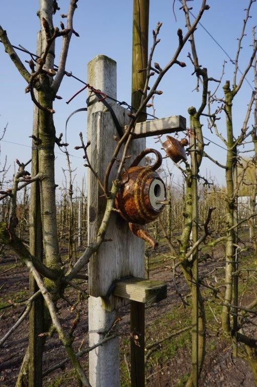 Van de Elzen heeft zo'n 100 nestkasten in en rond zijn boomgaard opgehangen, waarvan enkele met een bijzonder design. Behalve veel mezenkasten zijn er ook kasten voor torenvalken, uilen, bonte vliegenvangers, boomkruipers en boomklevers. Van de Elzen heeft zo'n 100 nestkasten in en rond zijn boomgaard opgehangen, waarvan enkele met een bijzonder design. Behalve veel mezenkasten zijn er ook kasten voor torenvalken, uilen, bonte vliegenvangers, boomkruipers en boomklevers.