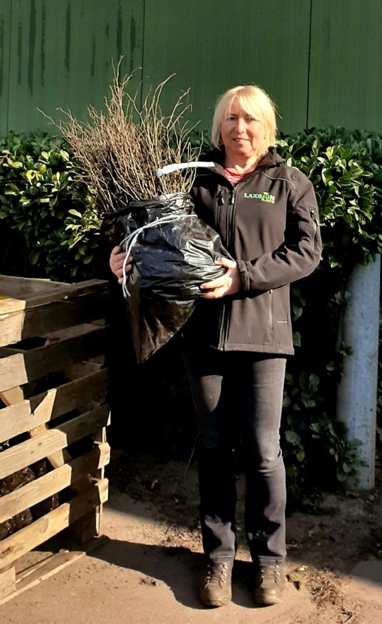 Daniëlla Adriaensen met #LZelkova serrata$L Daniëlla Adriaensen met #LZelkova serrata$L