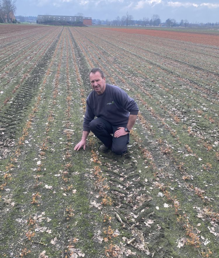 Jos Willemsen van de gelijknamige boomkwekerij in Zundert Jos Willemsen van de gelijknamige boomkwekerij in Zundert