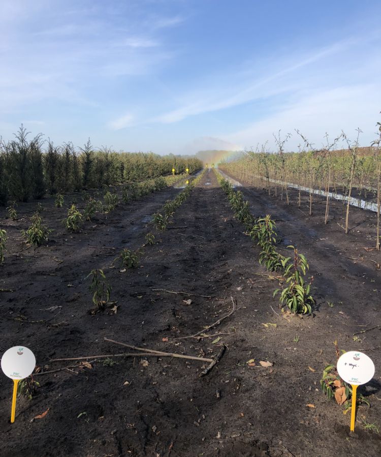 Uitgangssituatie Uitgangssituatie