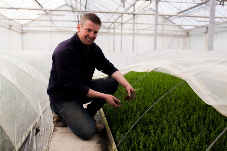 Kristof Van der Haegen is gespecialiseerd in coniferen Kristof Van der Haegen is gespecialiseerd in coniferen