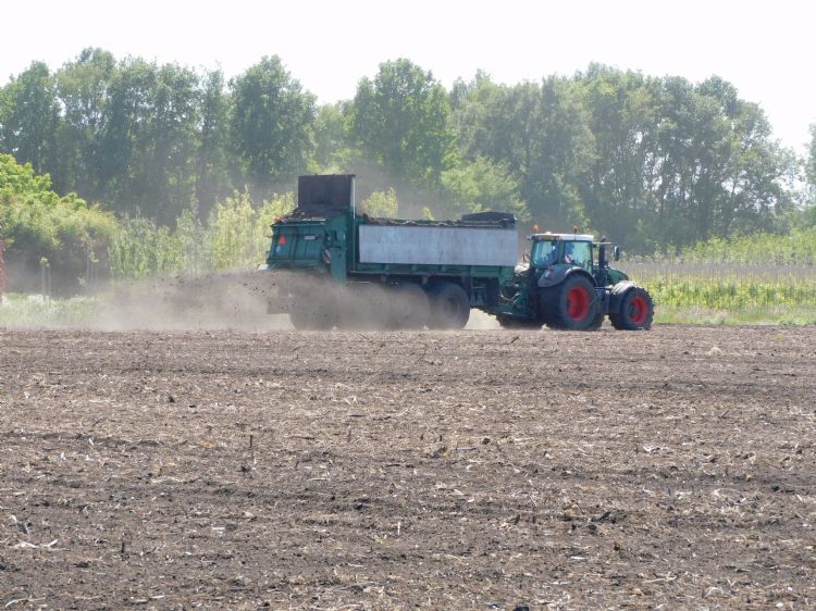 De compostverdeling. Boomkwekerij Vlemminx is deelnemer aan het project Bodem en water De Kempen en aan het ZLTO-project BodemUp. DLF is de trouwe leverancier van groenbemesters voor deze projecten. Foto: Esther Hessel/Hessel Marketing & Communicatie De compostverdeling. Boomkwekerij Vlemminx is deelnemer aan het project Bodem en water De Kempen en aan het ZLTO-project BodemUp. DLF is de trouwe leverancier van groenbemesters voor deze projecten. Foto: Esther Hessel/Hessel Marketing & Communicatie