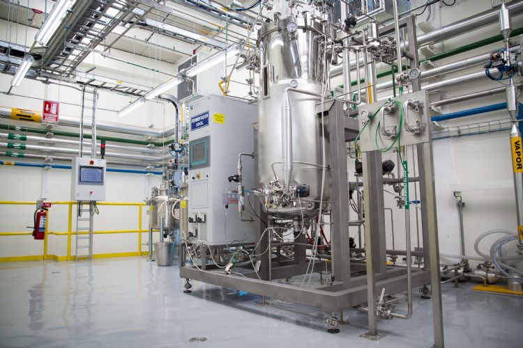 In fermentatieketels zoals deze worden <i>biologicals</i> geproduceerd op basis van bacteriën In fermentatieketels zoals deze worden <i>biologicals</i> geproduceerd op basis van bacteriën