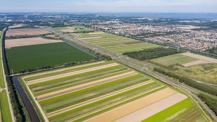 Een proefperceel van WUR. Foto: ERF BV Een proefperceel van WUR. Foto: ERF BV