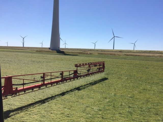 Foto: Nefyto Foto: Nefyto