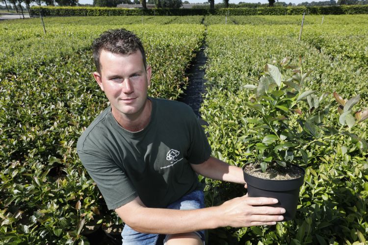 Arjen Hendriks Arjen Hendriks