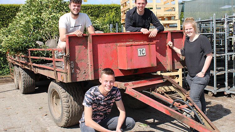 Foto: LTO bomen en vaste planten