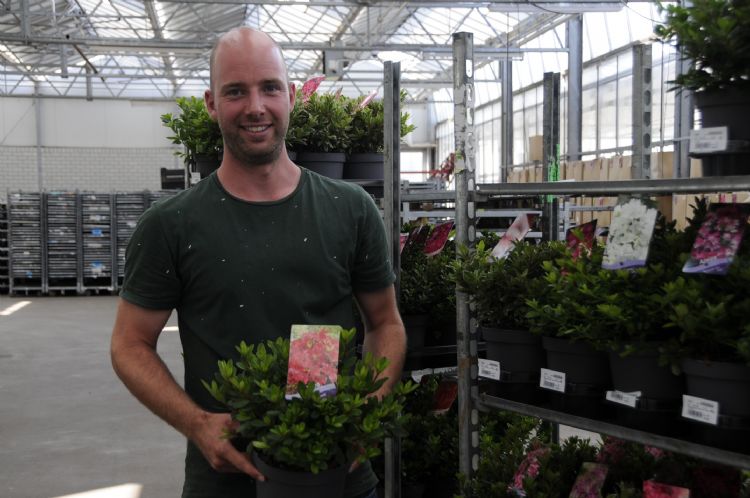 Arne van Acht kweekt de planten op van stekje tot leverbare plant