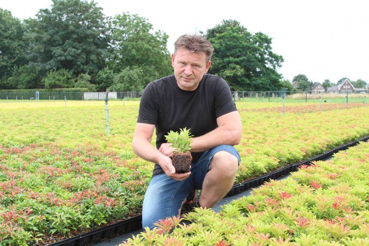 Raymond Haarman Raymond Haarman