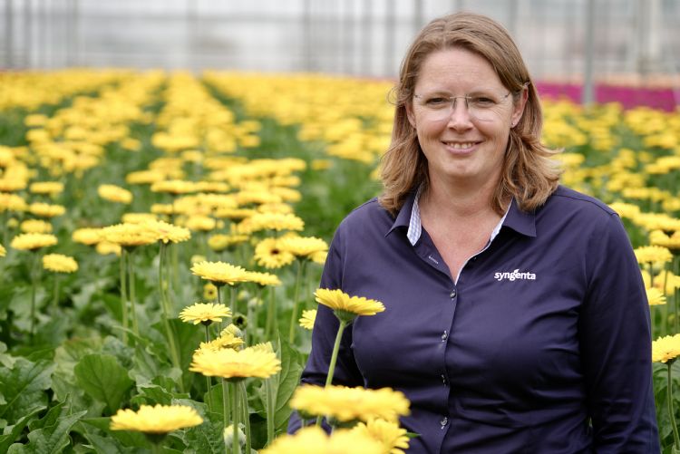 Caroline van den Hoek, Syngenta