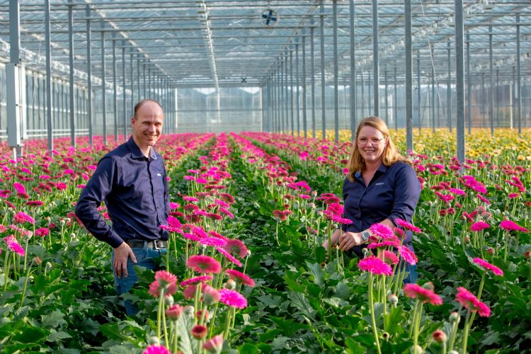 Crop advisors Maurice Kok en Caroline van den Hoek van Syngenta ondersteunen de sierteeltsectoren op hun weg naar vergroening en <i>zero impact</i>-gewasbescherming