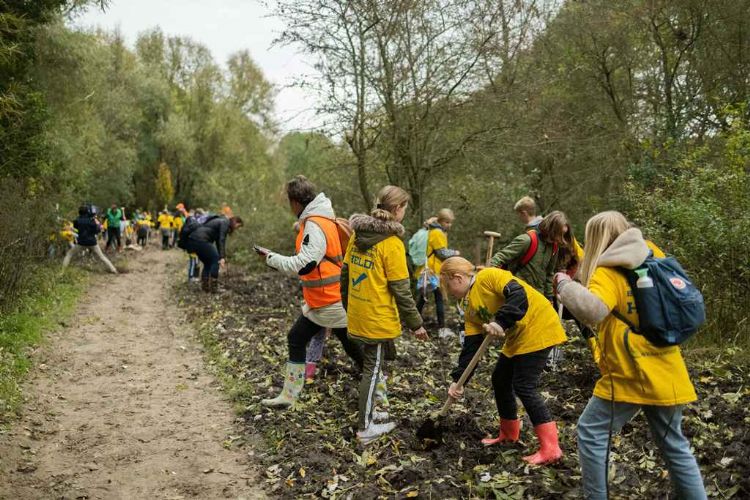 Aan het werk tijdens Nationale Boomfeestdag op 10 november in Alphen aan den Rijn. Foto: Marco Magielse, Bram Lansbergen