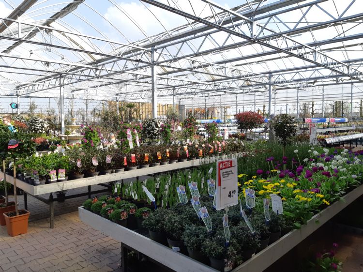 Tuincentra willen alleen planten zonder illegale middelen in de winkel
