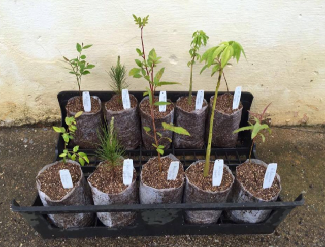 Test met grote pluggen Test met grote pluggen