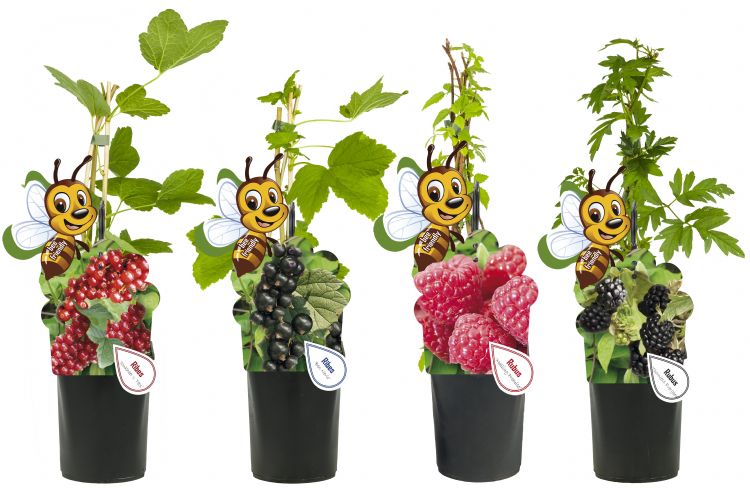 Het concept Fruity Garden is door middel van etikettering al duidelijk naar de consument toe dat er geen neonicotinoïden wordt gebruikt 