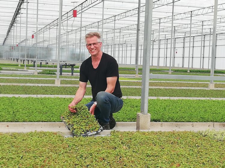 Bernd Rötjes Bernd Rötjes