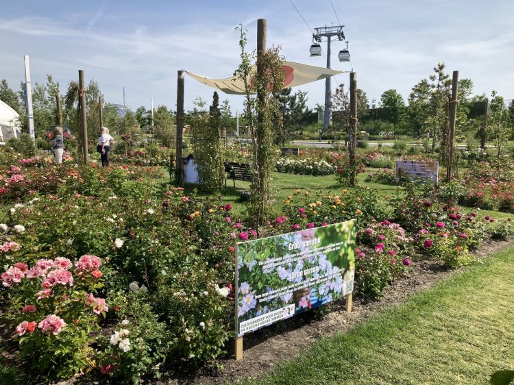Gezamenlijke inzending van de Cultuurgroepen voor de Floriade