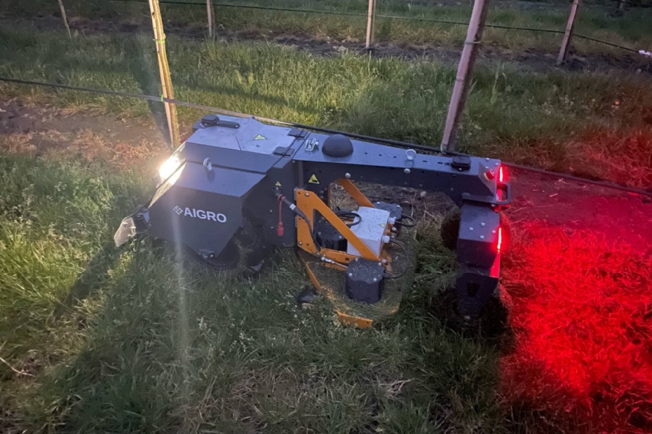 De maairobot kan ook 's nachts gewoon doorgaan (foto: Boomkwekerij Udenhout)