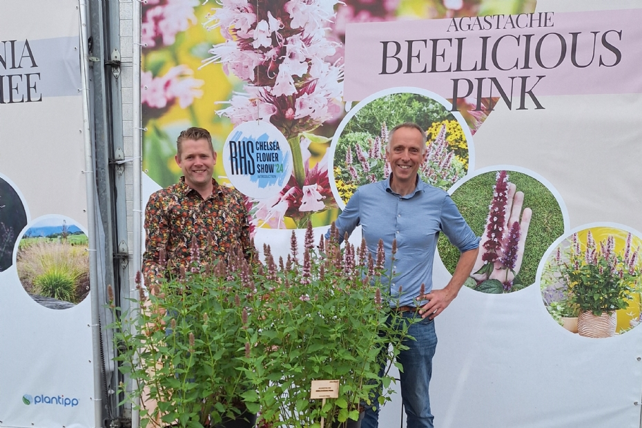 Rob van der Voort (rechts) met Tieme van den Haak (Plantipp) bij de presentatie van Beelicious Pink op de Chelsea Flower Show