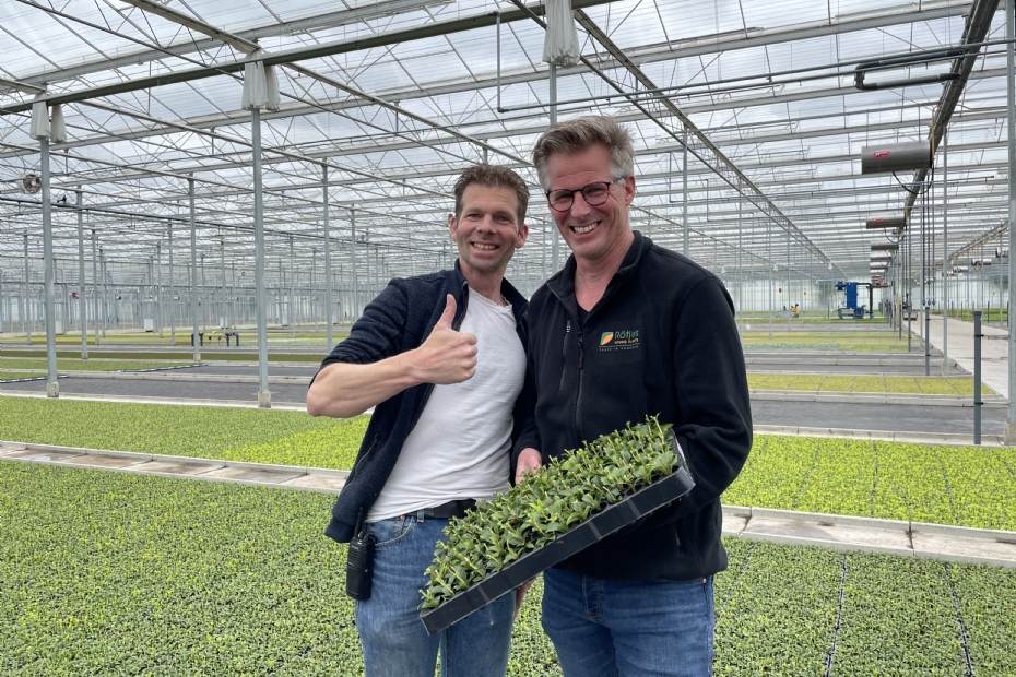 Tobias (links) en Bernd Rötjes vormen de tweehoofdige directie van Rötjes Young Plants in het Noord-Limburgse Lottum.