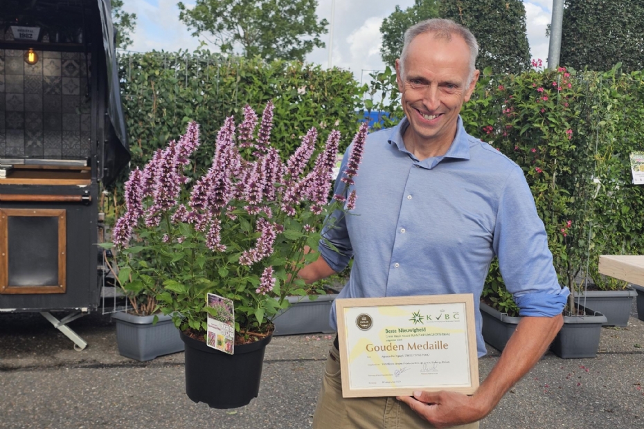 Rob van der Voort (Van Hemert & Co) met de winnende Agastache Beelicious Pink