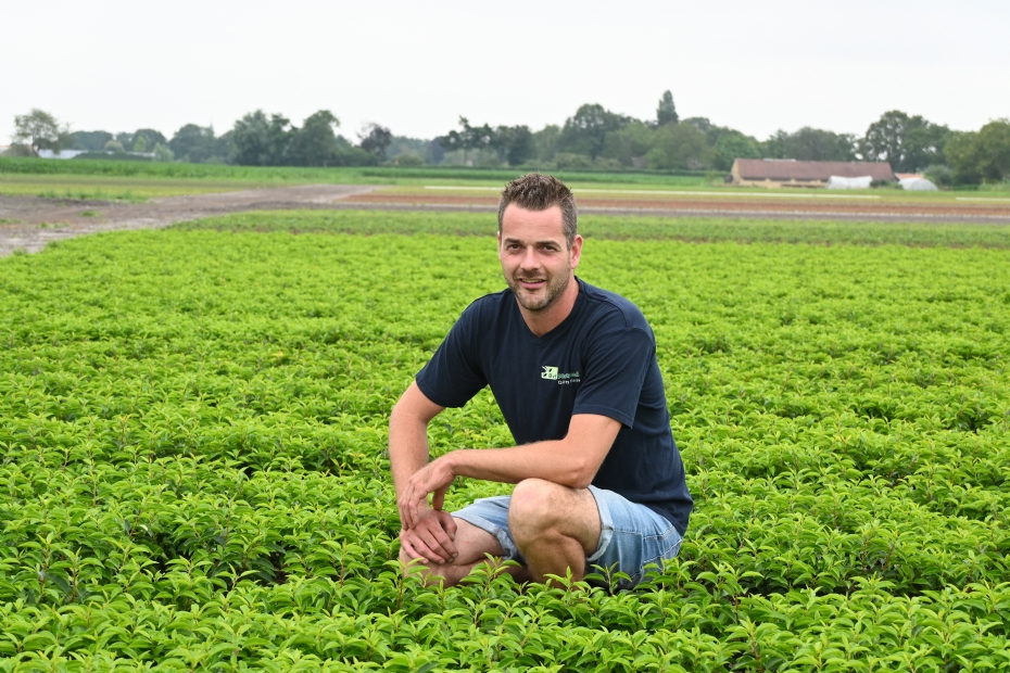 Bert van Exsel is succesvol met zijn aanpak