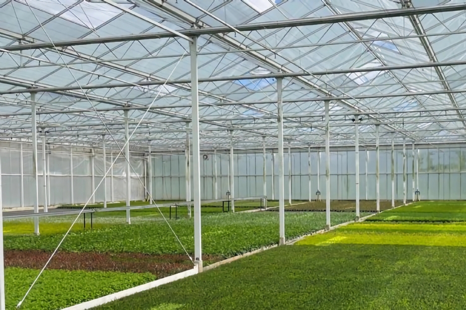 Overzicht van de kas Overzicht van de kas