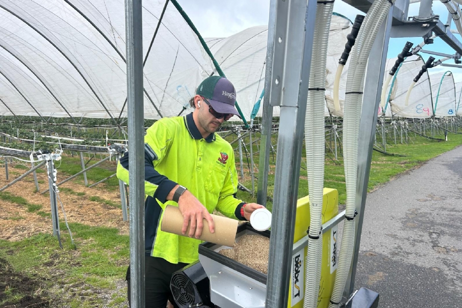 Het reservoir van de Entomatic wordt gevuld met roofmijten