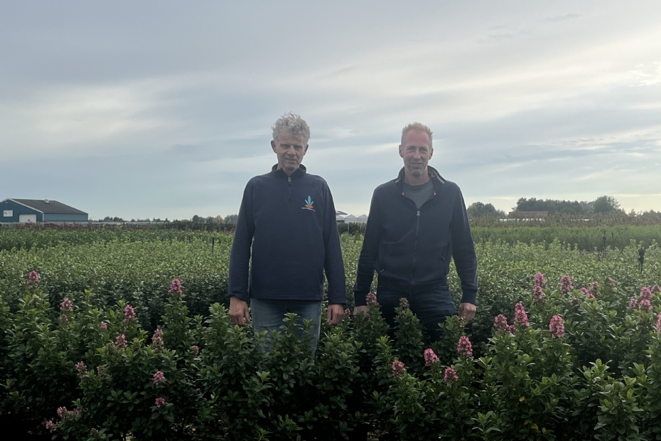 Martin Vermeer (l.) en Antoon Rijnbeek in het containerveld