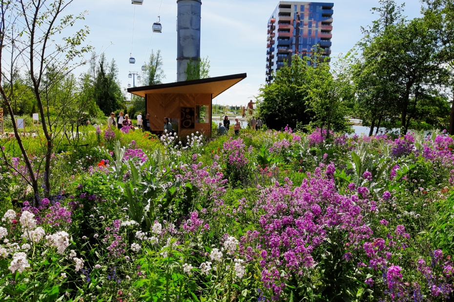 Beplantingsconcept van Lageschaar Vaste Planten op archiefbeeld