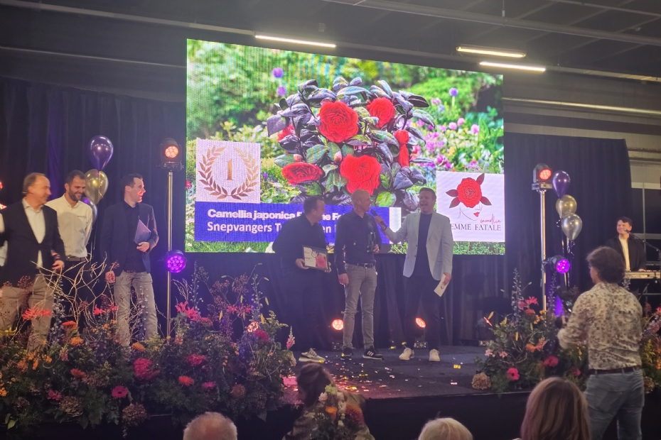 Bekendmaking van de nummer één onder de tuinplanten: Camellia Femme Fatale