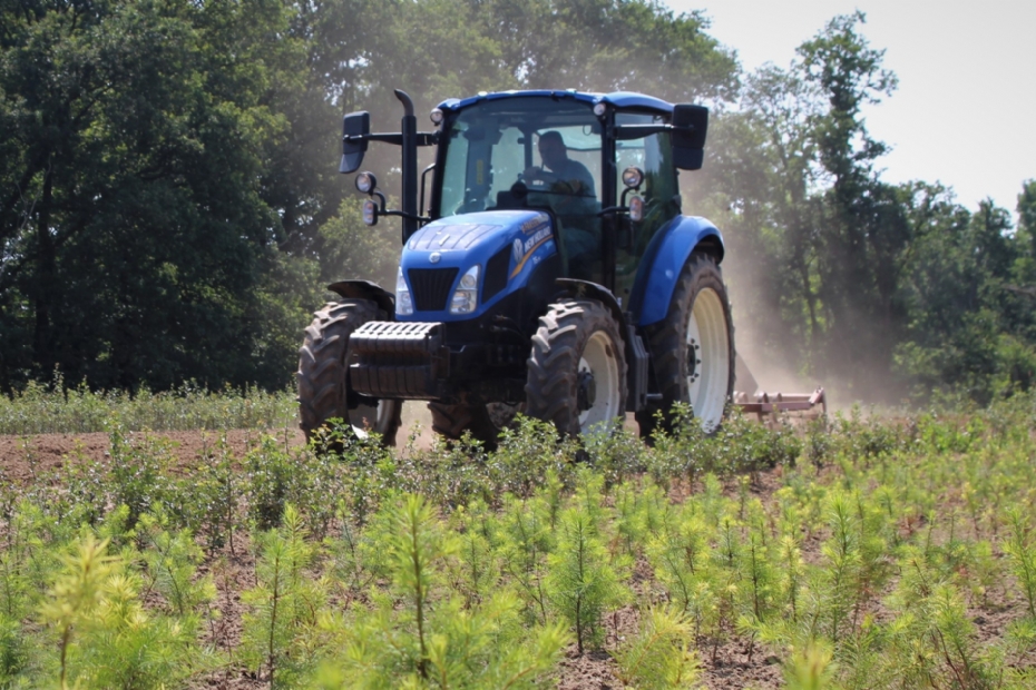 Op de kwekerij; foto Faassen Plants