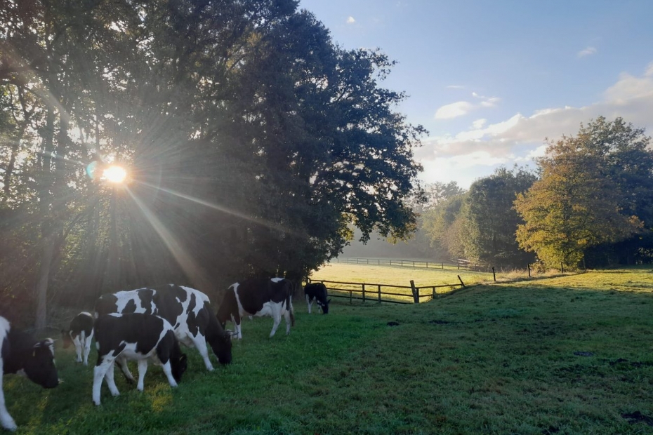 Foto: campagne 1001ha Foto: campagne 1001ha
