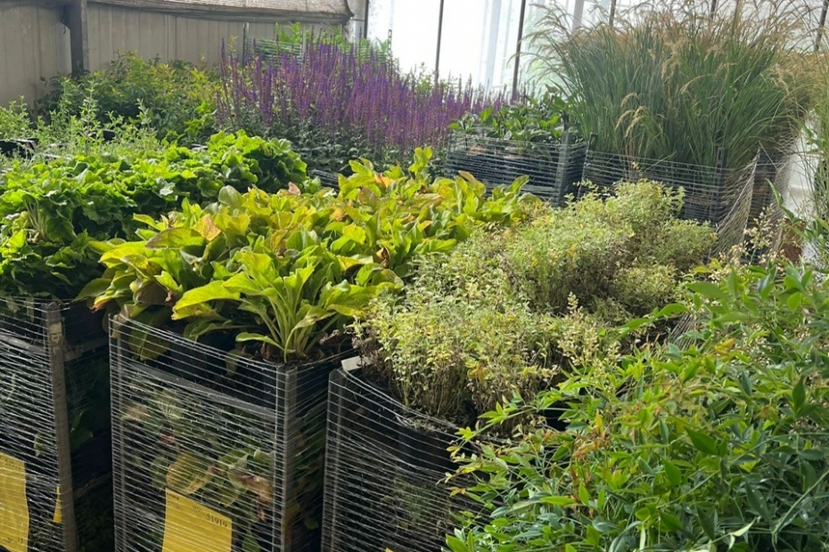 Een van de loodsen van Plant Market