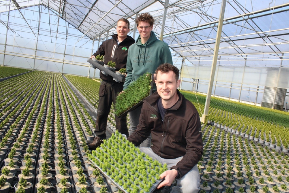 V.l.n.r.: Martijn Doorn, Debby Peter en Christiaan Rietberg. Foto: LTO Bomen