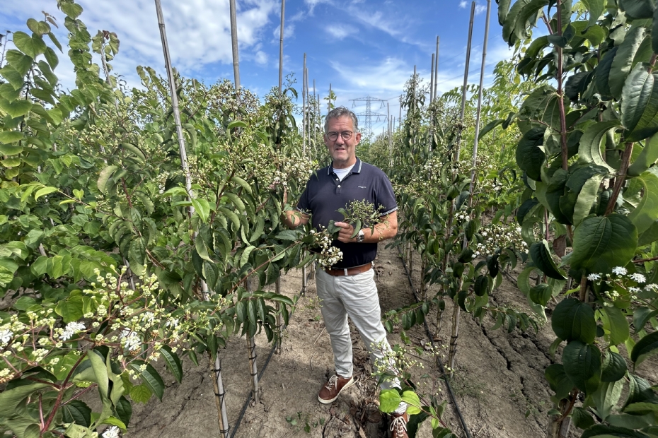 Gerard Kievit, technical account manager fruitteelt & boomkwekerij